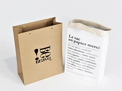 Brown And White Paper Bags For Daily Household Use With Printed Design And Text 3d model