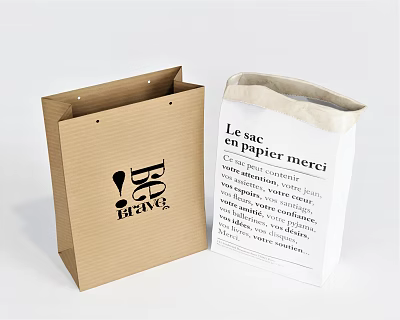 Brown And White Paper Bags For Daily Household Use With Printed Design And Text 3d model