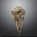 Detailed Animal Skull Specimen Featuring Natural Bone Structure And Scientific Anatomical Traits