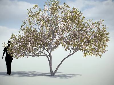 Blooming Arbor With Silhouette Of A Walker Blue Sky White Clouds And Sunlight 3d model
