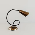 Unique Abstract Shaped Table Lamp With Black Curved Stand And Copper Shade 3d model