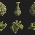 Various Shaped Bushes Ideal for Garden Landscaping and Outdoor Design Projects