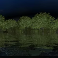 Stunning Natural Riverside Landscape With Lush Green Trees Calm Water Bright Blue Sky And Birds