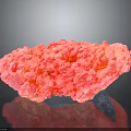 Pink Coral Natural Marine Animal Structure With Textured Surface And Dark Background