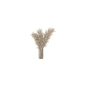 Natural Beige Dried Pampas Grass Arrangement In Clear Glass Vase For Home Decor