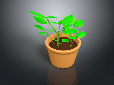 Green Leafy Plant in Terracotta Pot with Fresh Foliage on Dark Surface 3d model
