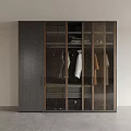 Modern Wardrobe With Glass Doors And Hanging Clothes Storage Space