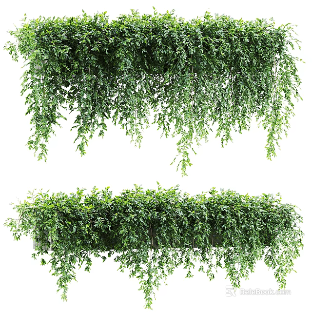 Lush Green Hanging Vines with Cascading Leaves for Indoor Outdoor Decoration 3d model 
