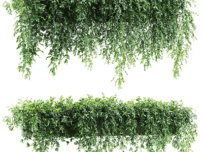 Lush Green Hanging Vines with Cascading Leaves for Indoor Outdoor Decoration 3d model