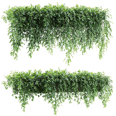 Lush Green Hanging Vines with Cascading Leaves for Indoor Outdoor Decoration 3d model