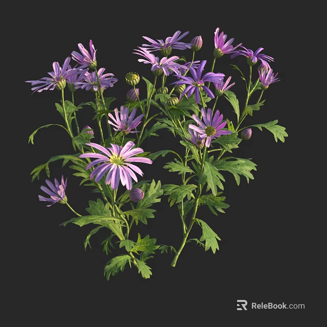 Vibrant Purple Flower Plant with Green Leaves Stems and Fresh Buds 3d model 