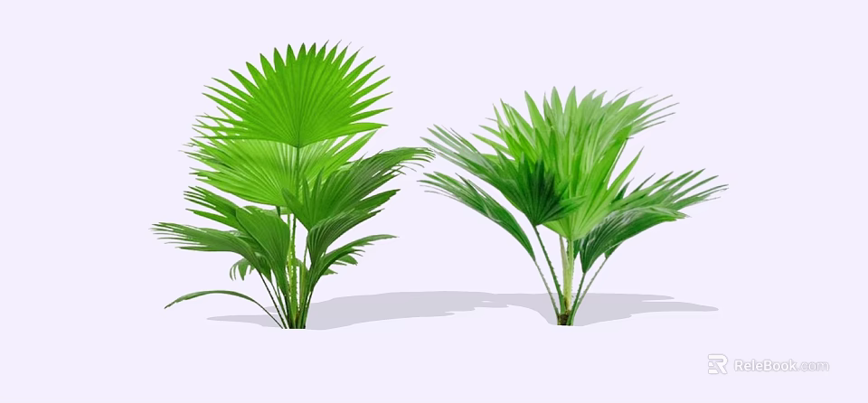 Lush Green Shrubs With Broad Leaves For Garden Landscape Decoration 3d model 