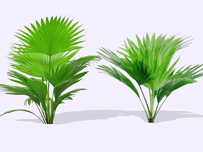 Lush Green Shrubs With Broad Leaves For Garden Landscape Decoration 3d model
