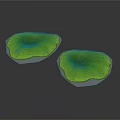 Two Vibrant Green Lotus Leaves Displayed Against Dark Background With Natural Texture