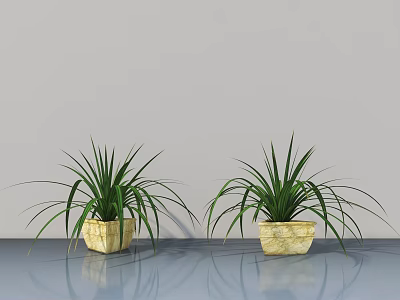 Two Green Bonsai Potted Plants With Slender Leaves In Yellow Textured Pots On Light Background 3d model