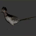 Colorful Flying Bird Displaying Spread Wings And Distinctive Crested Head With Vibrant Feathers