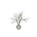 Minimalist Natural Floral Art Display Featuring Branches With Small Yellow Buds In White Vase