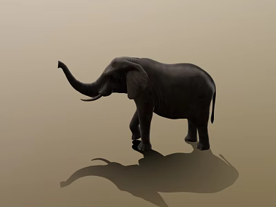 Majestic Elephant Standing With Raised Trunk And Shadow On Beige Background 3d model