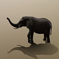 Majestic Elephant Standing With Raised Trunk And Shadow On Beige Background