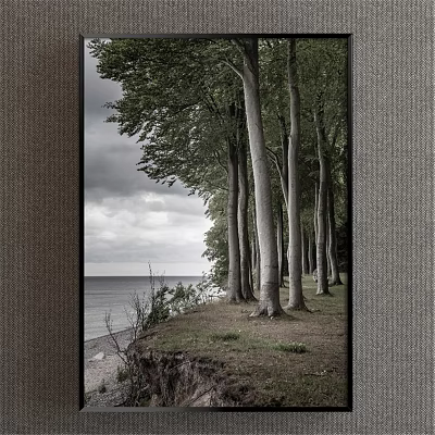 Seaside Landscape Painting With Tall Tree Trunks Grass Ocean View And Cloudy Sky 3d model Seaside Landscape Painting With Tall Tree Trunks Grass Ocean View And Cloudy Sky 3d model