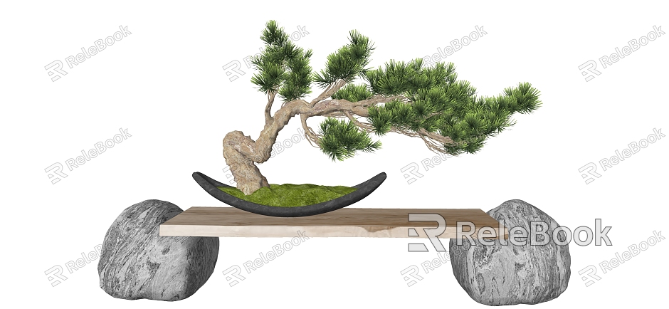 New Chinese Bonsai Pine Bonsai model