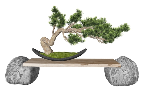 New Chinese Bonsai Pine Bonsai 3d model