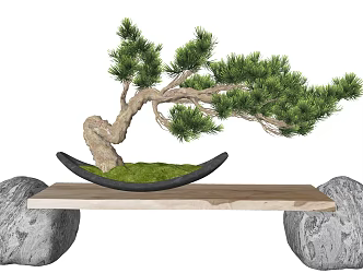 New Chinese Bonsai Pine Bonsai 3d model