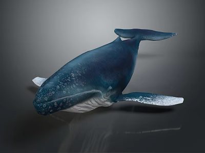 Large Deep Blue Whale With White Spots Swimming Gracefully In Ocean Water 3d model