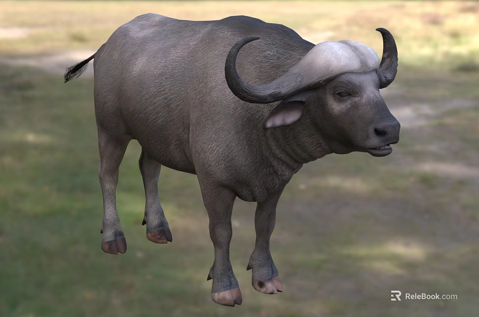 Gray Water Buffalo Standing On Green Grass With Large Curved Horns 3d model 