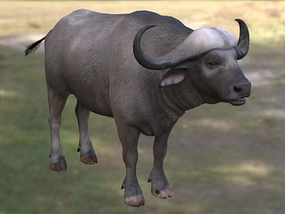Gray Water Buffalo Standing On Green Grass With Large Curved Horns 3d model