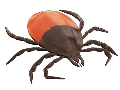 Realistic Reptile Figure With Orange And Black Body And Multiple Legs 3d model