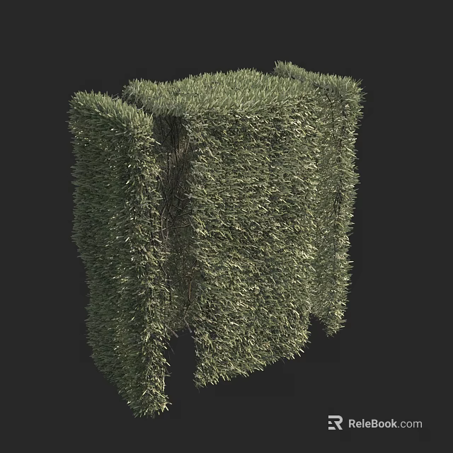 Neatly Trimmed Green Cube Shaped Hedge With Fresh Foliage For Garden Decoration 3d model 