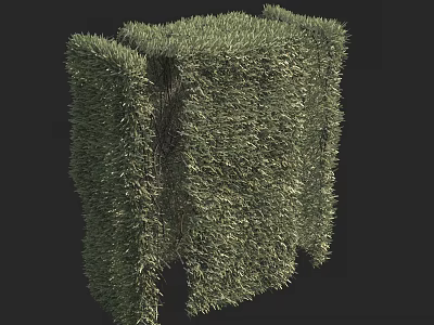 Neatly Trimmed Green Cube Shaped Hedge With Fresh Foliage For Garden Decoration 3d model