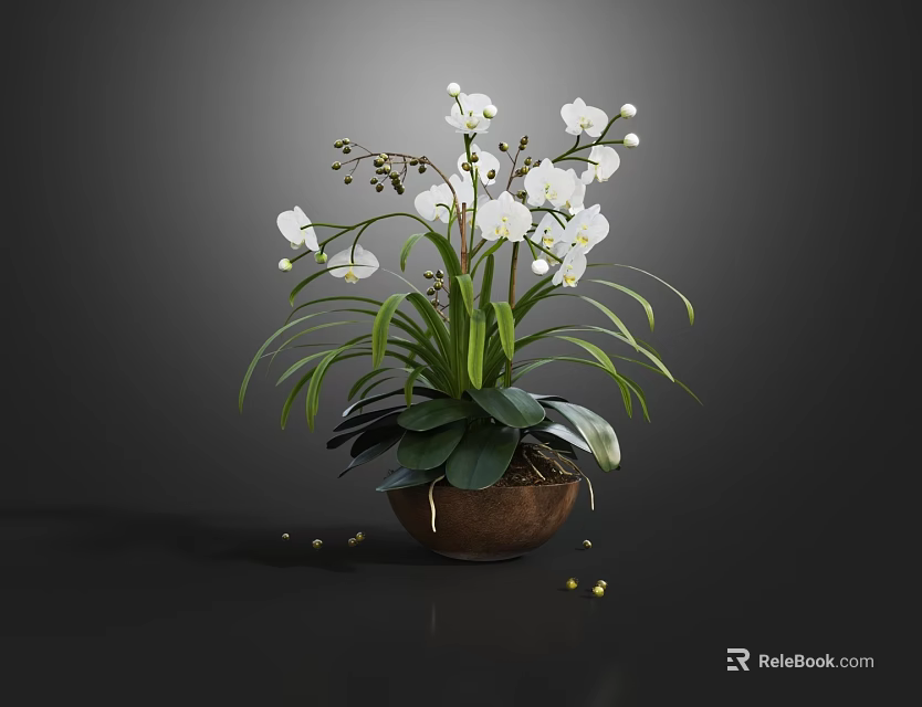 White Orchid Potted Plant In Brown Pot With Green Leaves And Fallen Yellow Flowers 3d model 