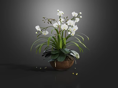 White Orchid Potted Plant In Brown Pot With Green Leaves And Fallen Yellow Flowers 3d model