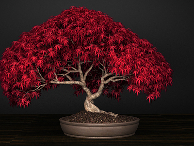 New Chinese Bonsai model