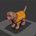 Cute Puppy Wearing Orange Vest With PAMPETS Text Standing On Black Surface