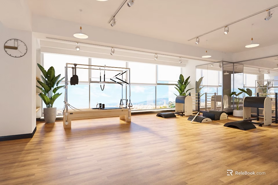 Spacious Modern Fitness Studio With Natural Light Equipment And Plants 3d model 