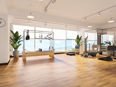 Spacious Modern Fitness Studio With Natural Light Equipment And Plants 3d model