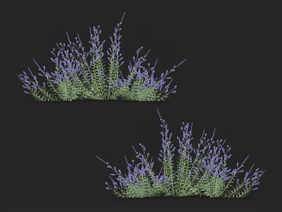 Vibrant Purple Flowers With Green Stems In Two Lush Plant Clusters 3d model