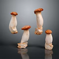 Modern Mushroom Shiitake Straw Mushroom Poisonous Mushroom 3d model