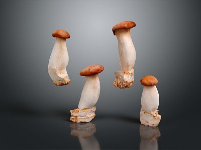 Modern Mushroom Shiitake Straw Mushroom Poisonous Mushroom 3d model