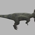 Double Crest Dragon Double Crowned Dragon Dinosaur Reptile Ancient Biology Meat-eating Dinosaur Jurassic Low Face Number Low Model Simple Model Game Movie and TV Level Super Realistic 3d model