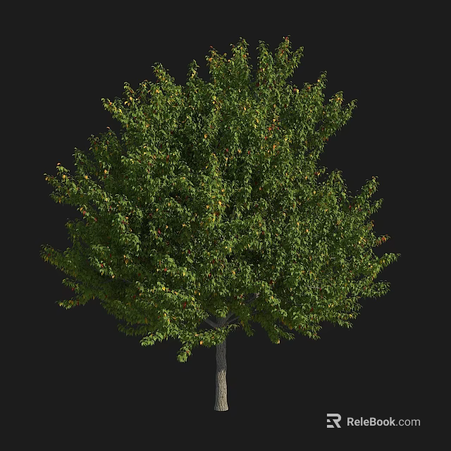 Lush Green Arbor With Dense Foliage And Sturdy Trunk Structure 3d model