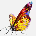 Vibrant Colorful Butterfly Artwork With Geometric Patterns And Bright Hues