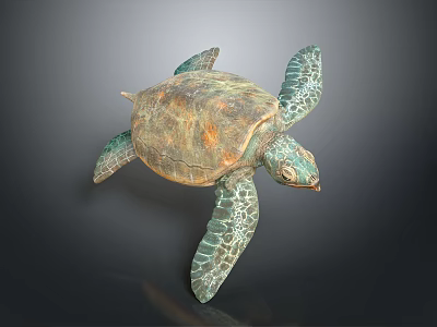 Green Sea Turtle With Brownish Shell And Textured Green Flippers On Dark Background 3d model
