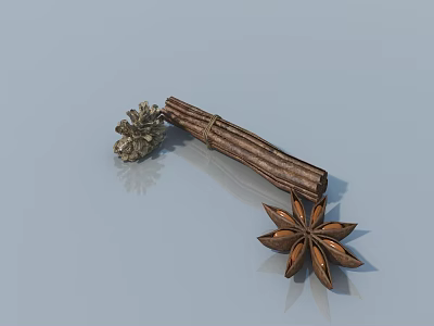 3D Rendered Cinnamon Stick Star Anise And Pine Cone On Smooth Surface 3d model