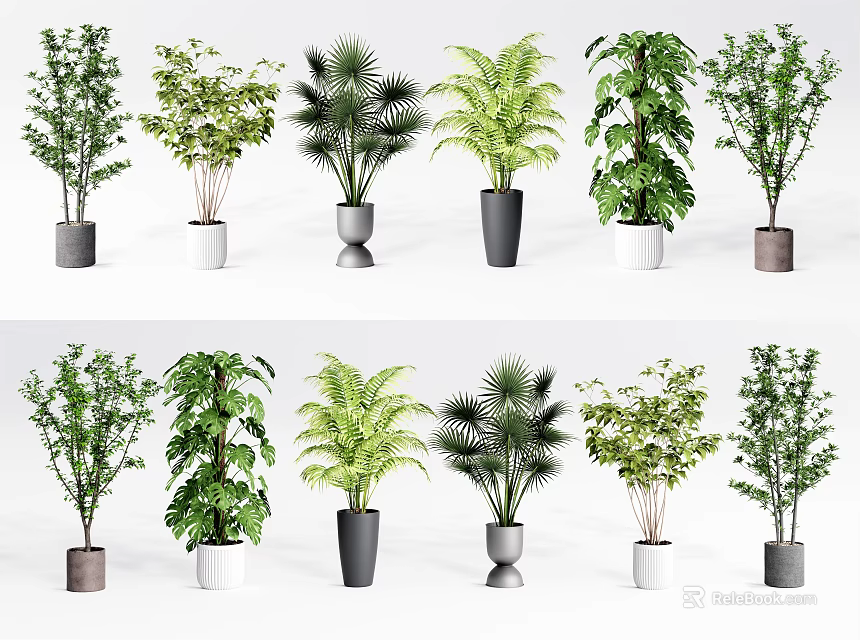 Variety of Bonsai Potted Plants with Different Leaf Types and Stylish Pots 3d model 