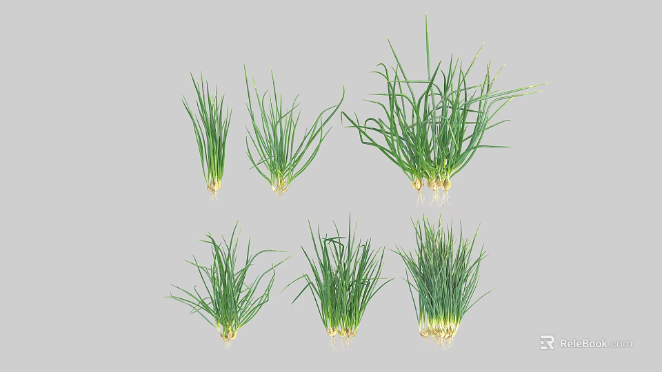 Six Clusters of Green Herbs with Various Growth Stages and Roots in Soil 3d model 