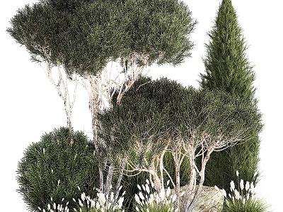Charming Garden Decorative Plant Arrangement With Rounded Shrubs Conical Tree White Flowers And Stones 3d model